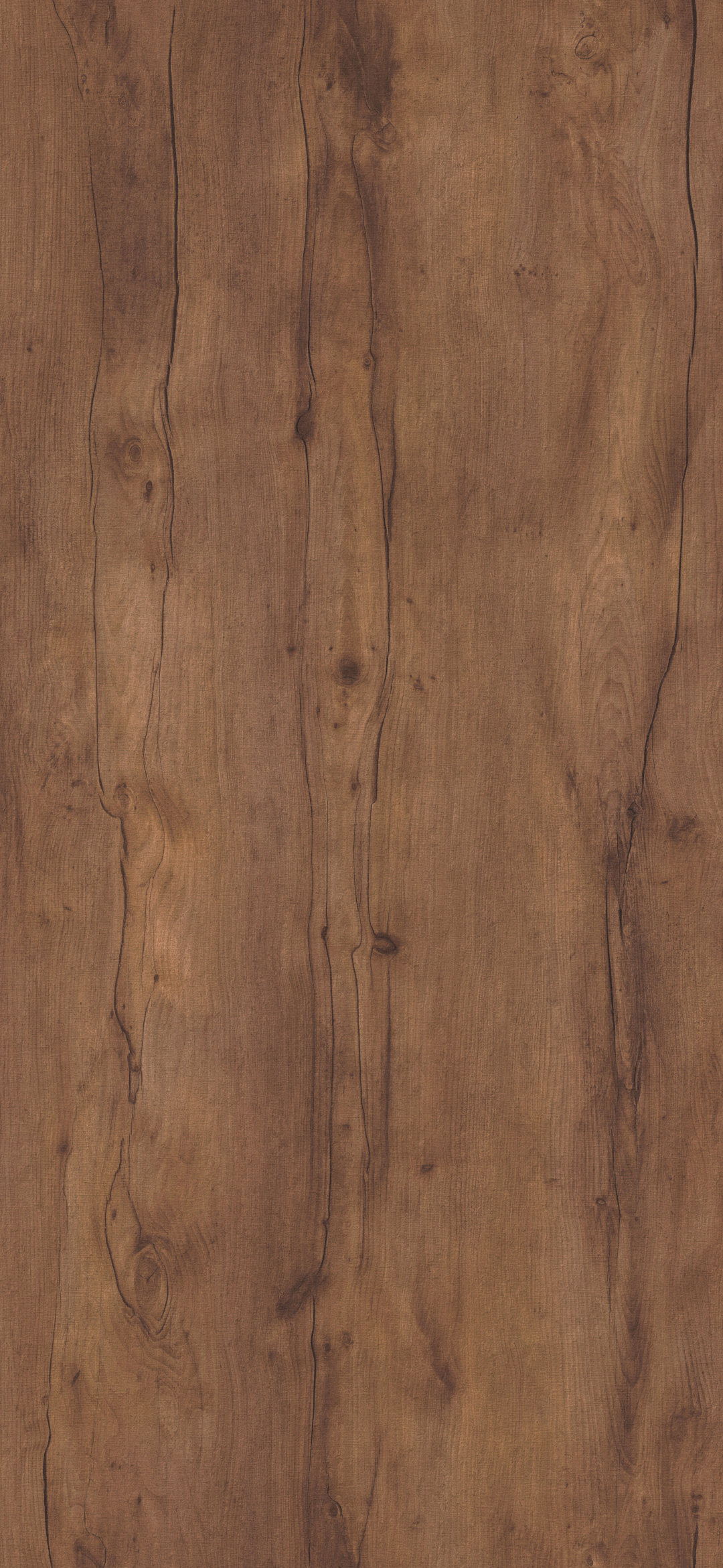 06y_wild_wood.jpg