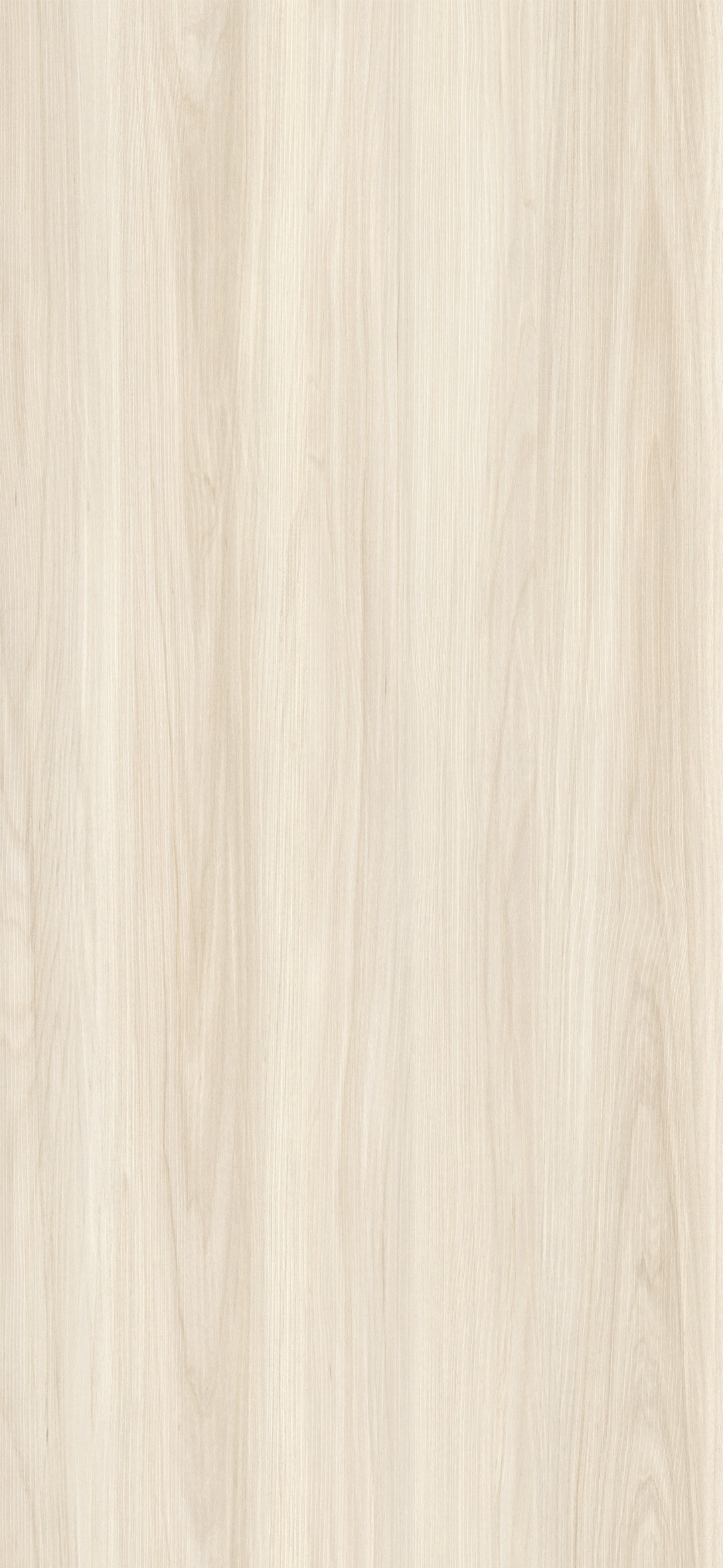 449b_olmo_grace_etna.jpg