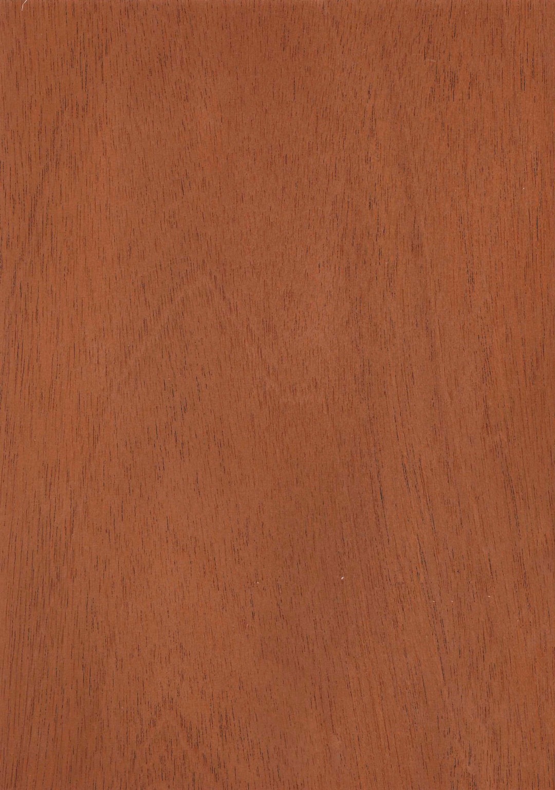 caoba_brasil_rameada.jpg