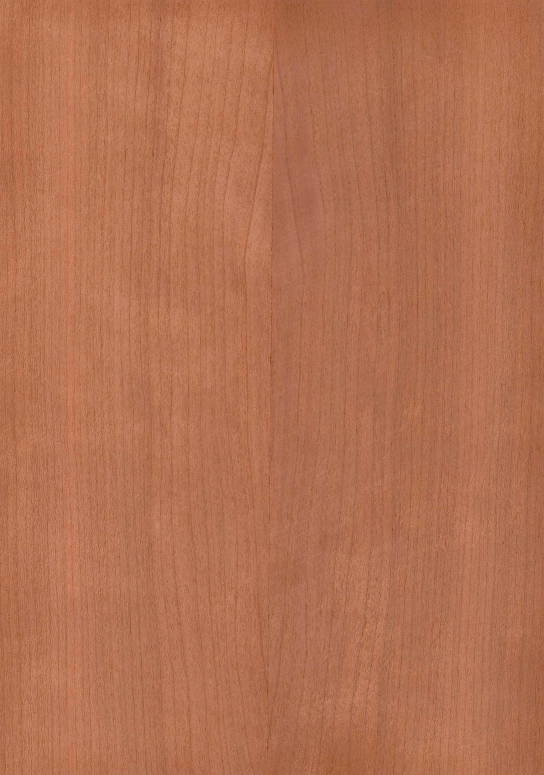 cerezo_americano_mallado.jpg