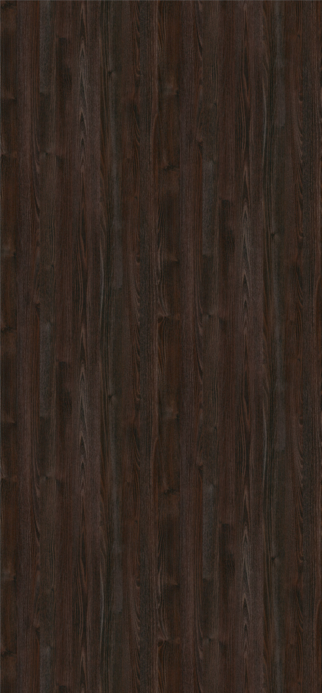 h1199_roble_termo_negro_st12.jpg