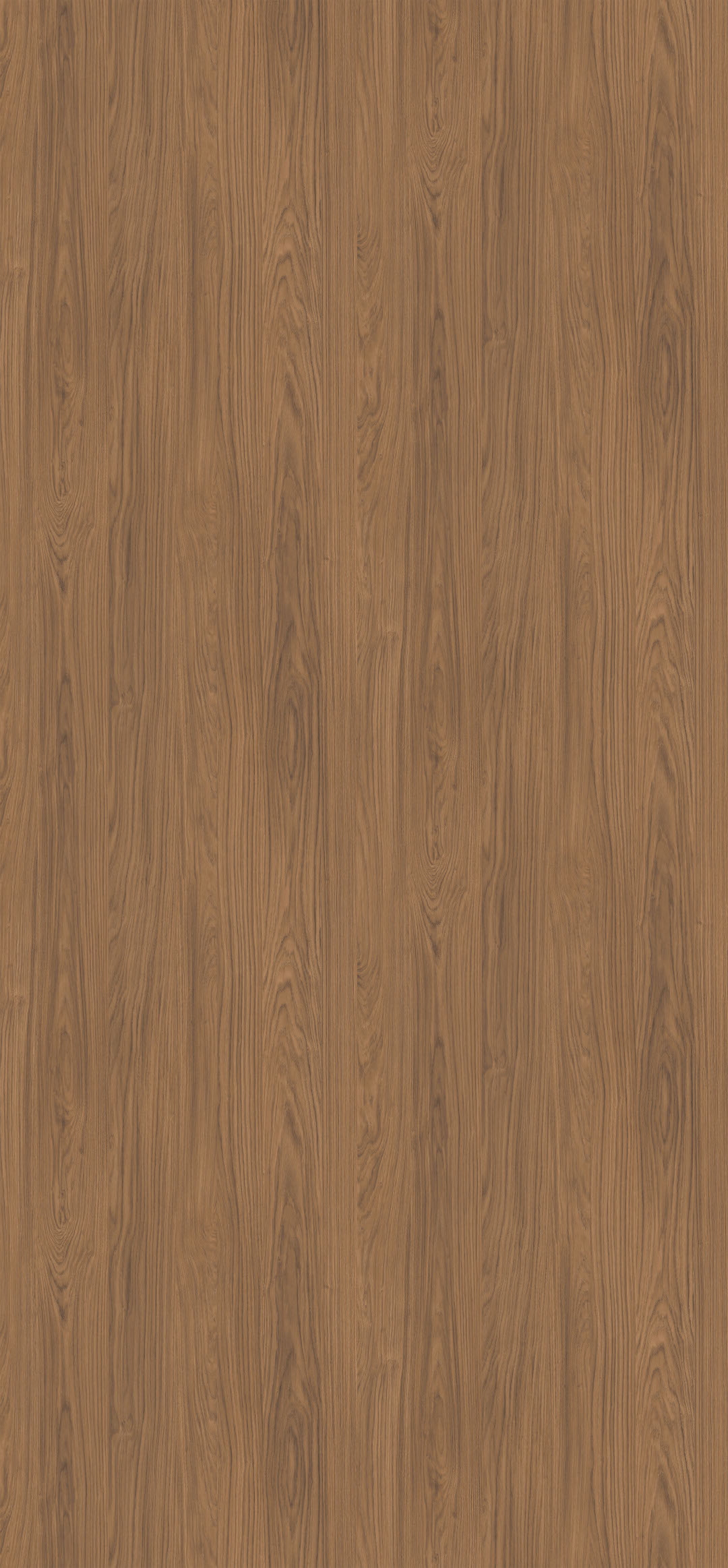 h1386_roble_casella_marron_st40.jpg