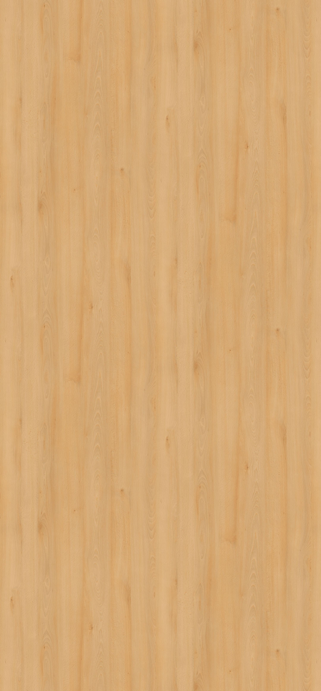 h1910_haya_willow_st9.jpg