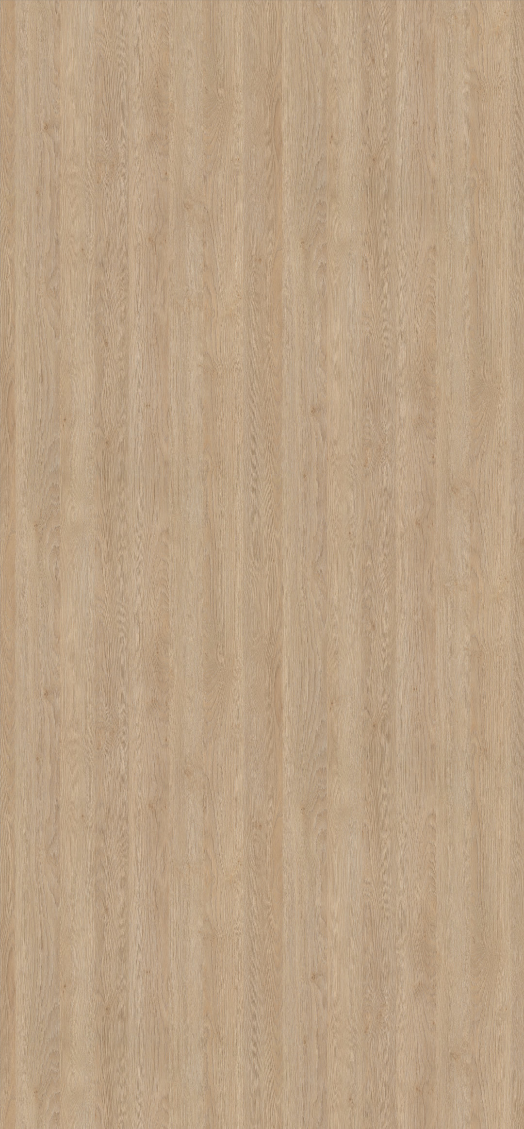 h3309_roble_gladstone_arena.jpg