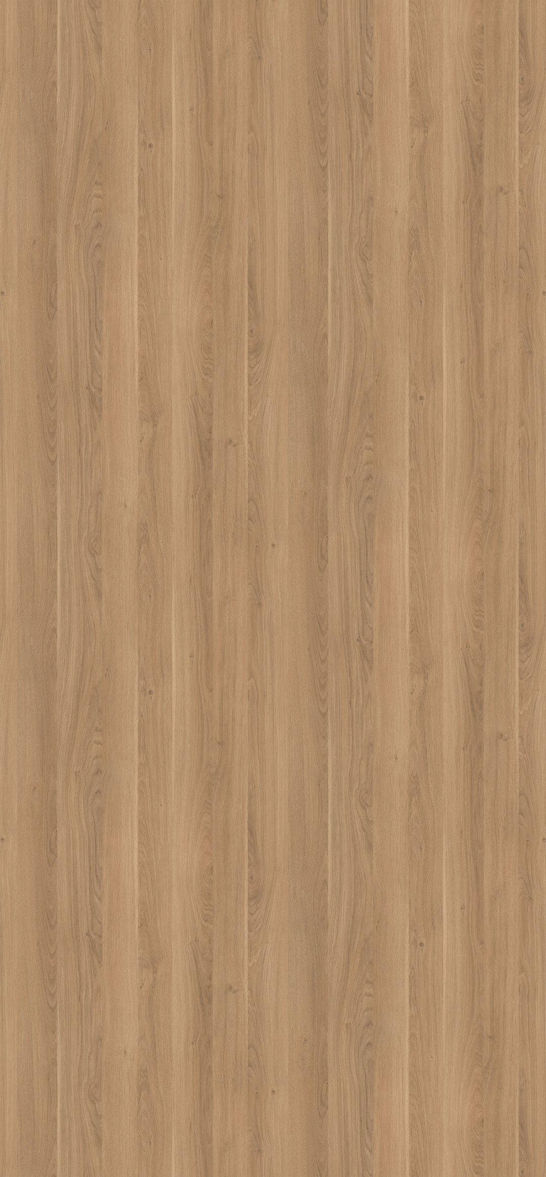 h3317_roble_cuneo_marron_st2.jpg