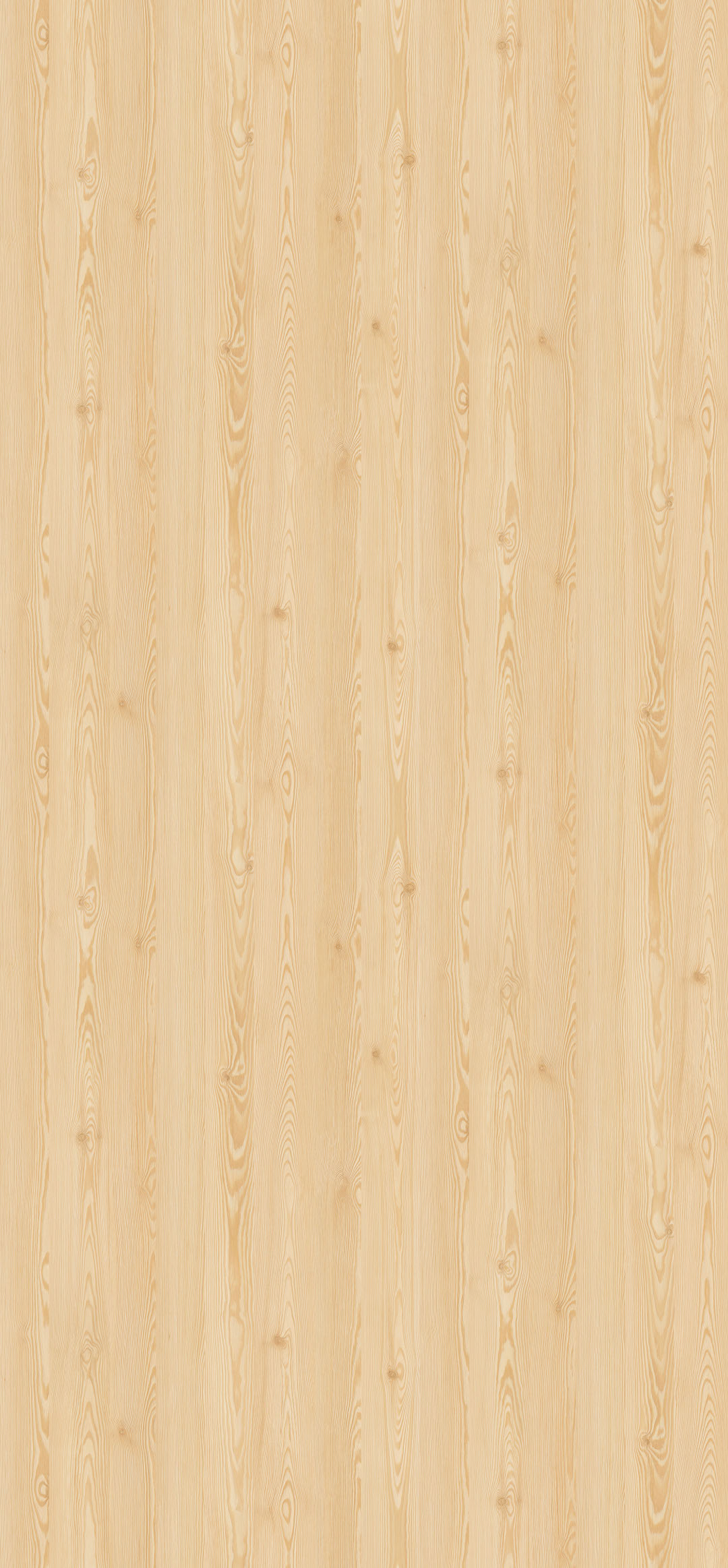 h3409_alerce_natural_st28.jpg