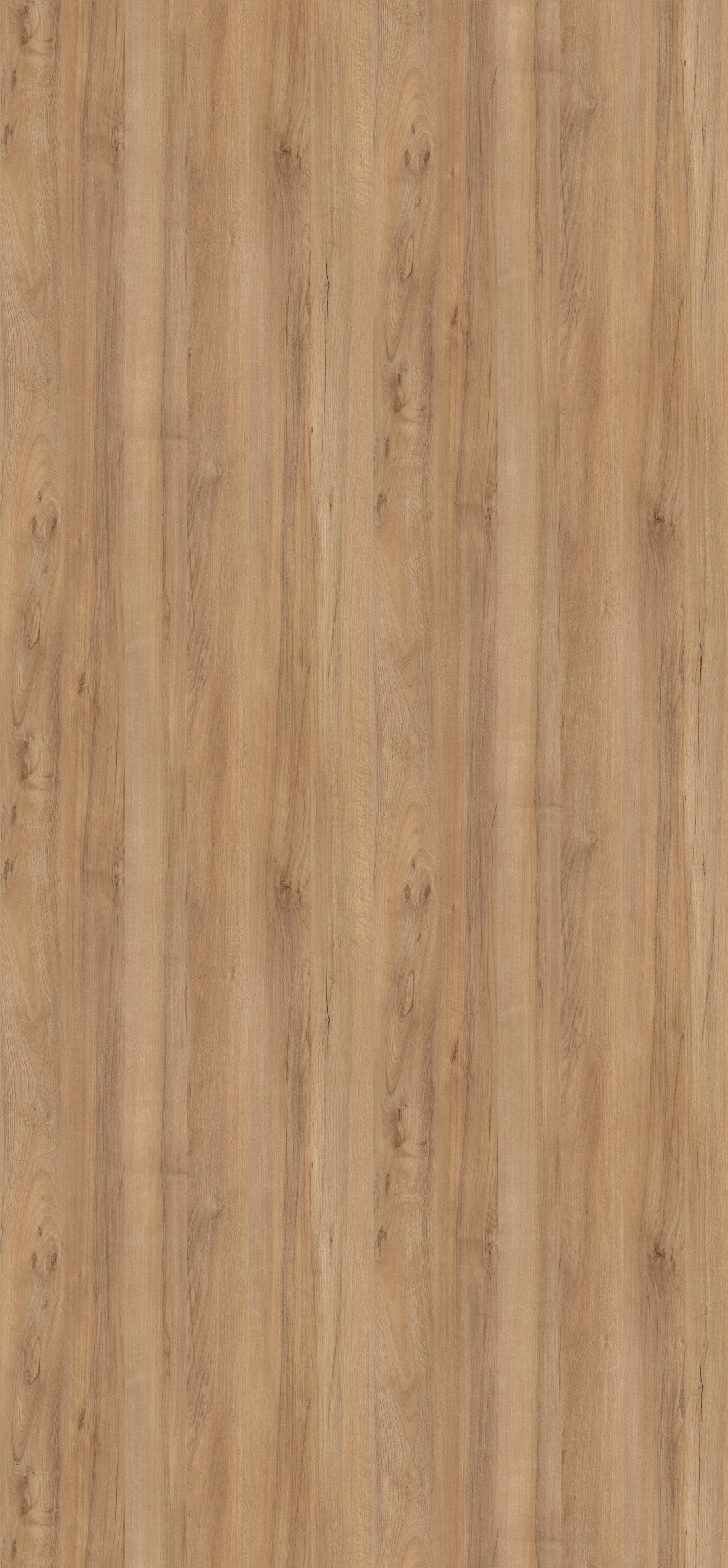 h3700_nogal_del_pacifico_natural.jpg