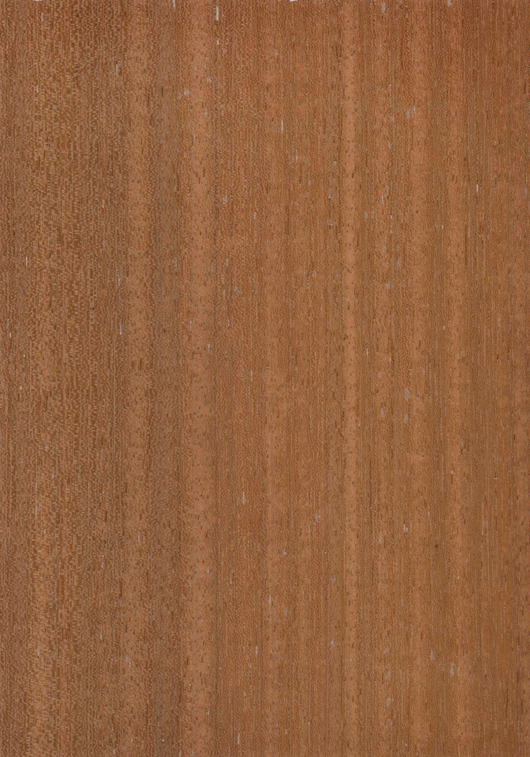 iroko.jpg