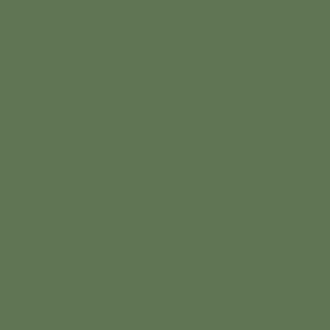 l5207_camouflage.jpg