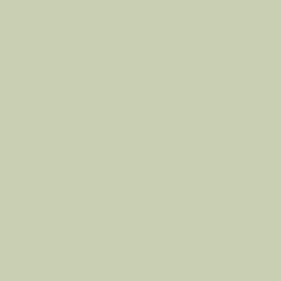 l6084_daylight.jpg