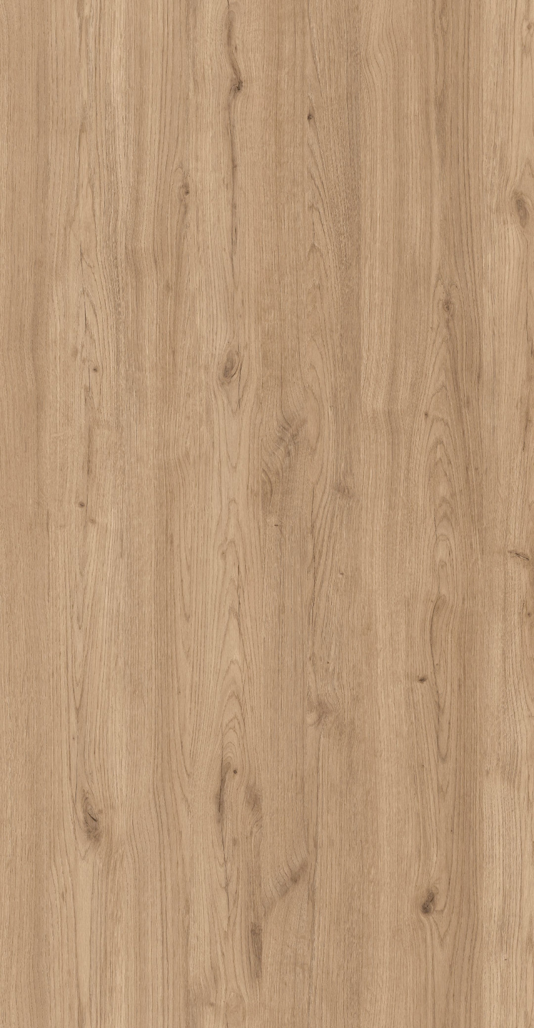 m6263_salerno_oak_golden.jpg