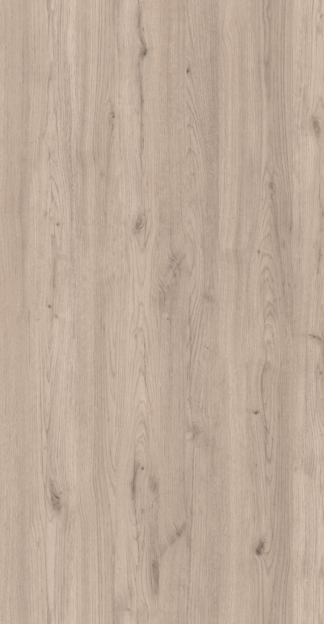 m6264_salerno_oak_pale.jpg