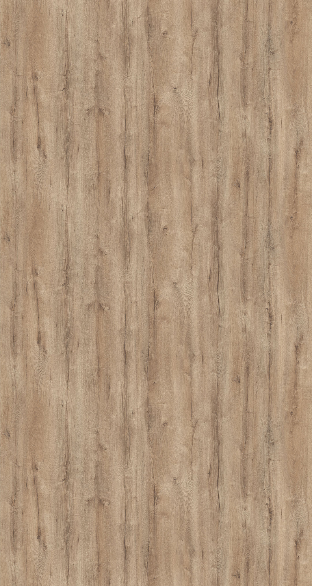 m6280_sanctuary_oak.jpg