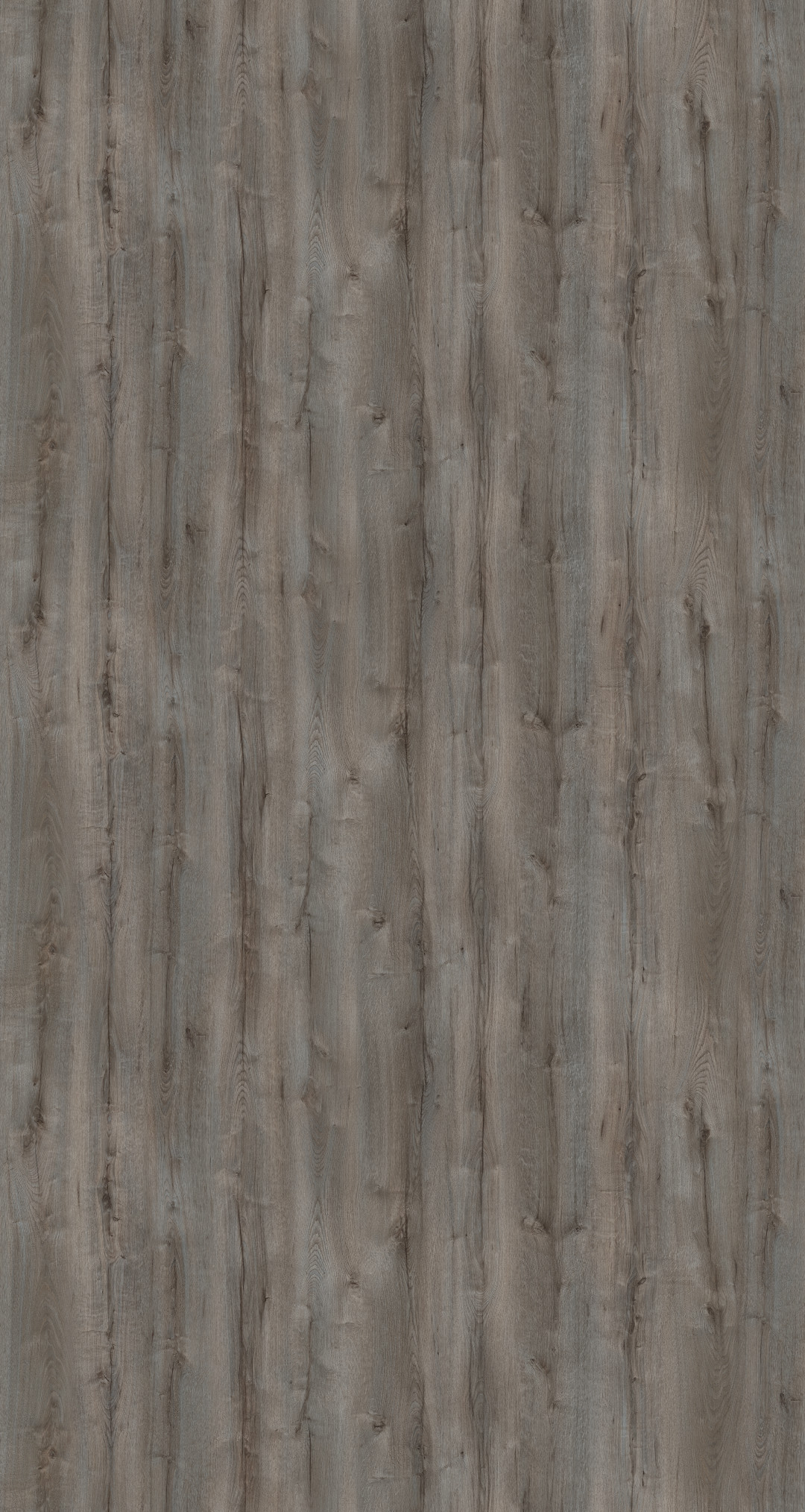 m6281_sanctuary_oak_dark.jpg