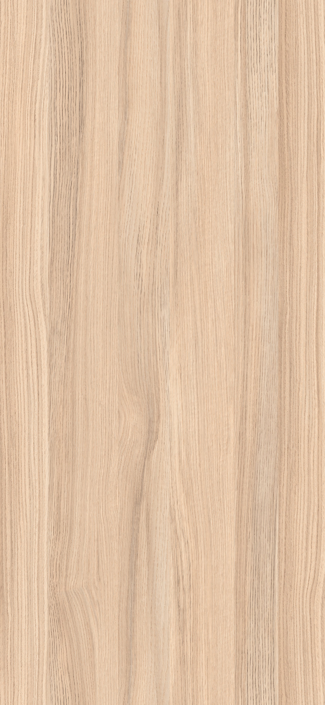 m6284_timeless_oak_biscuit.jpg