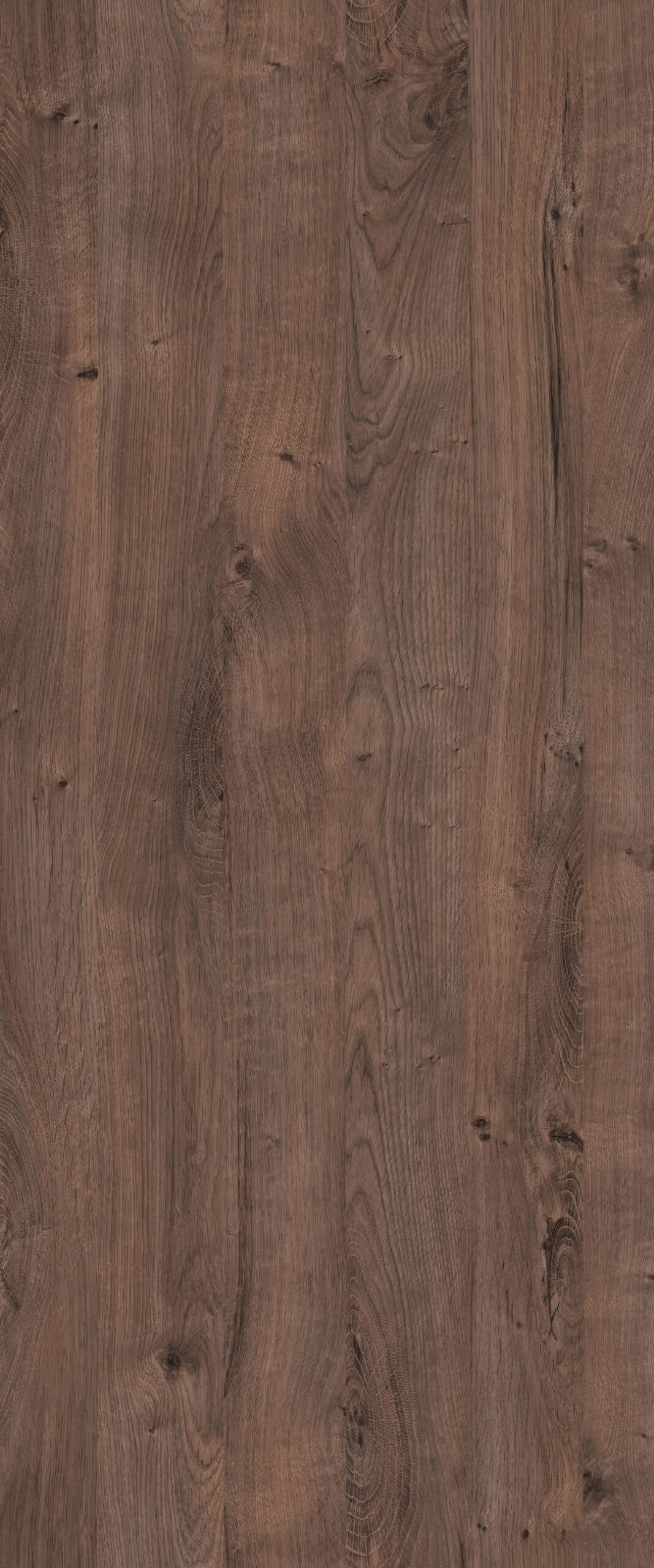 m6287_wild_oak_brown.jpg