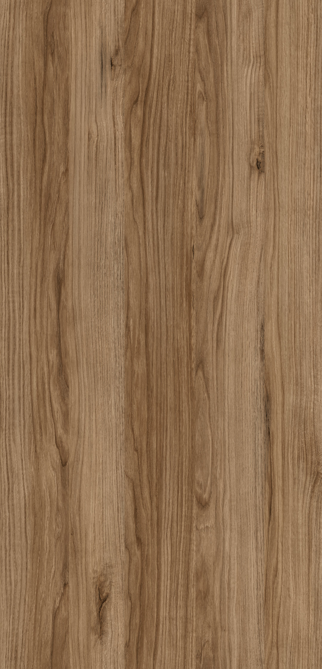 m6304_etna_oak.jpg