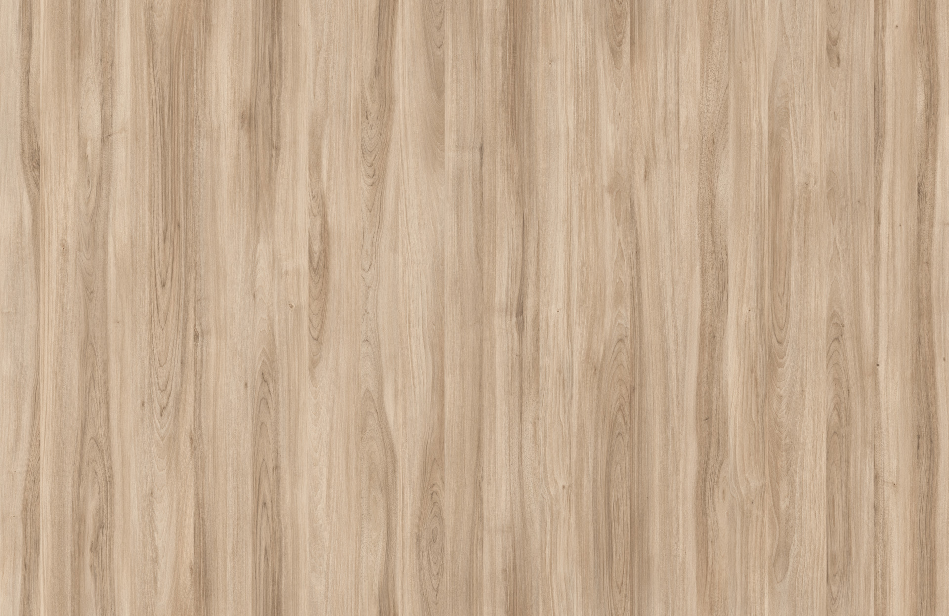 m6314_exquisite_light.jpg