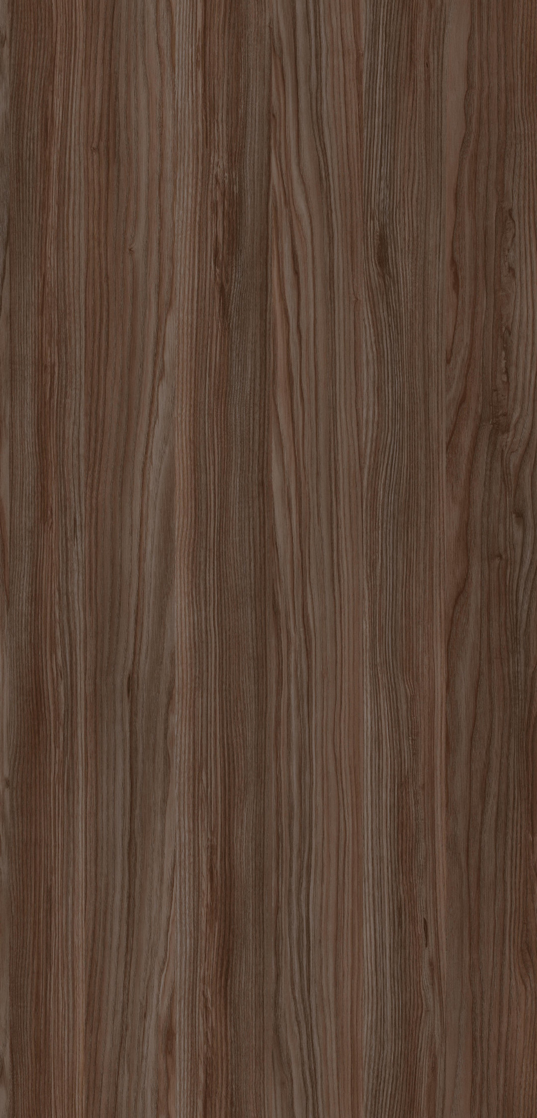 m6315_elegance_brown.jpg