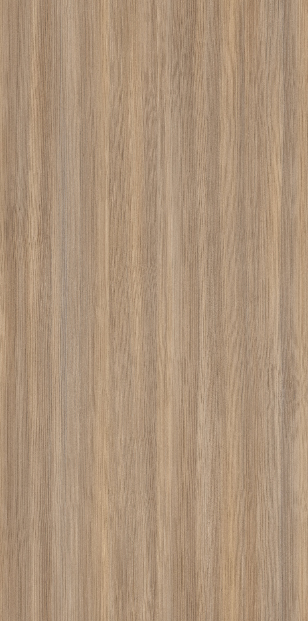 m6340_salix_fun.jpg