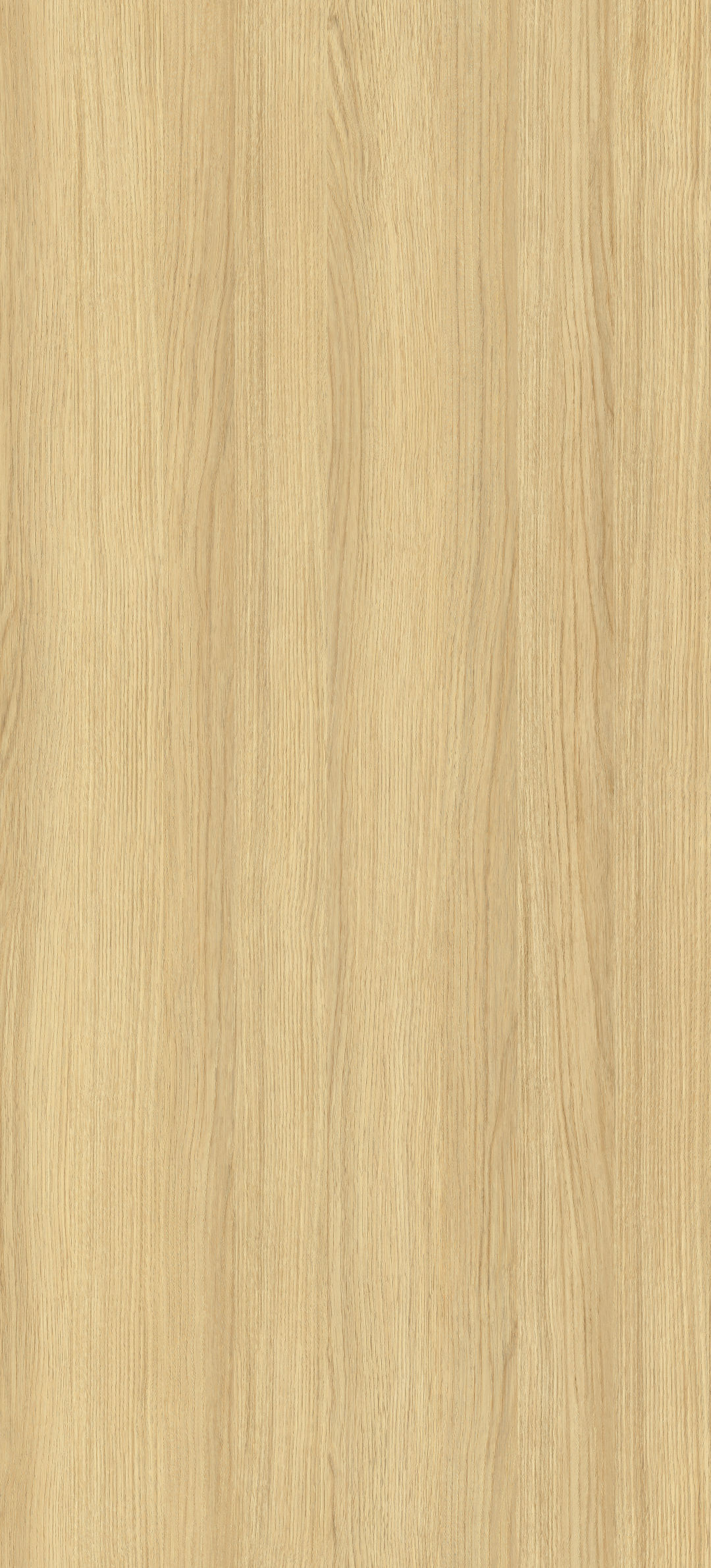m6349_eternal_oak.jpg