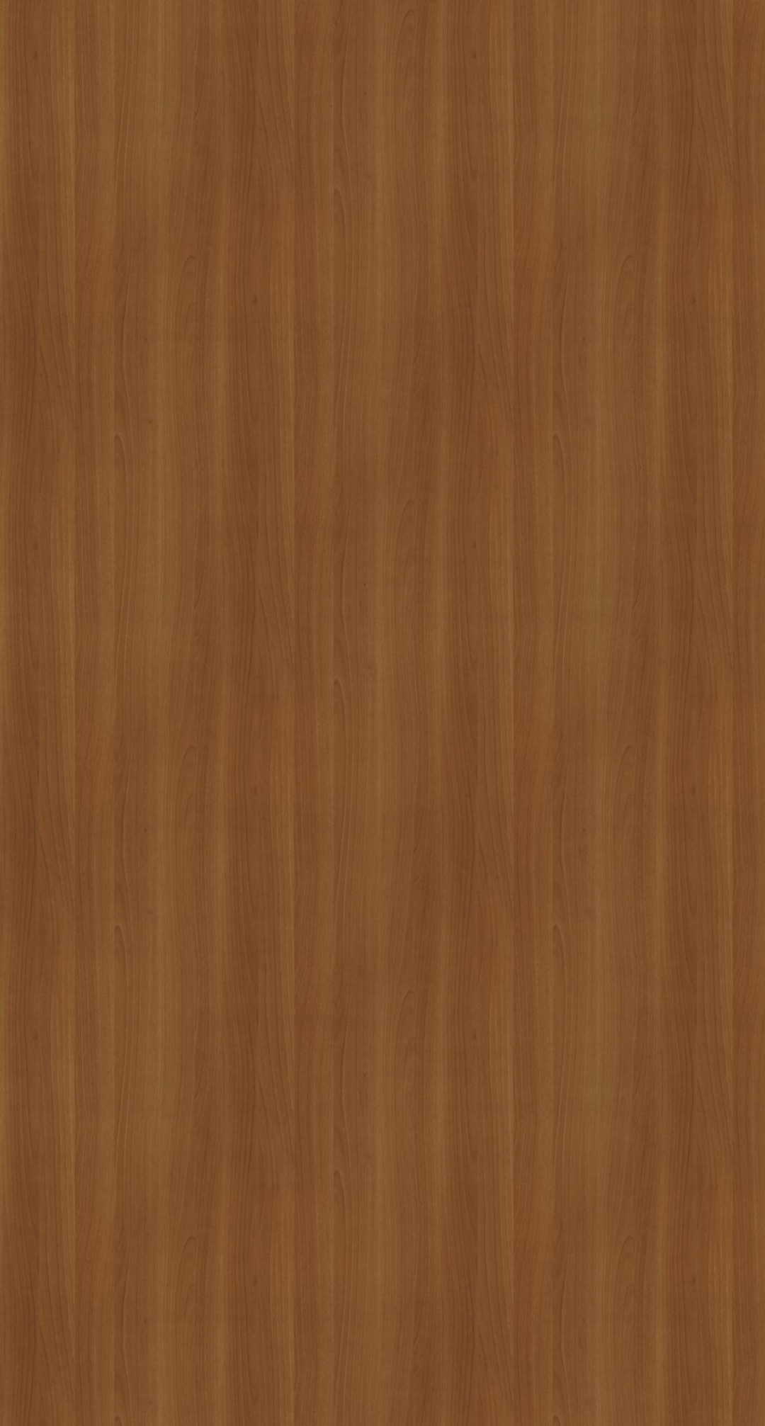 nw08_italian_walnut.jpg