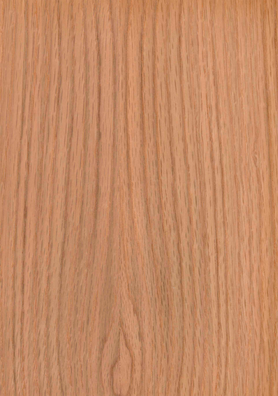 roble_blanco_americano_mallado.jpg