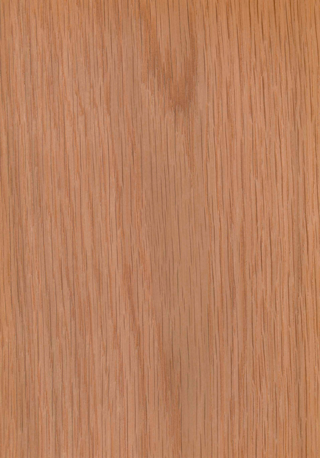 roble_blanco_americano_rameado.jpg