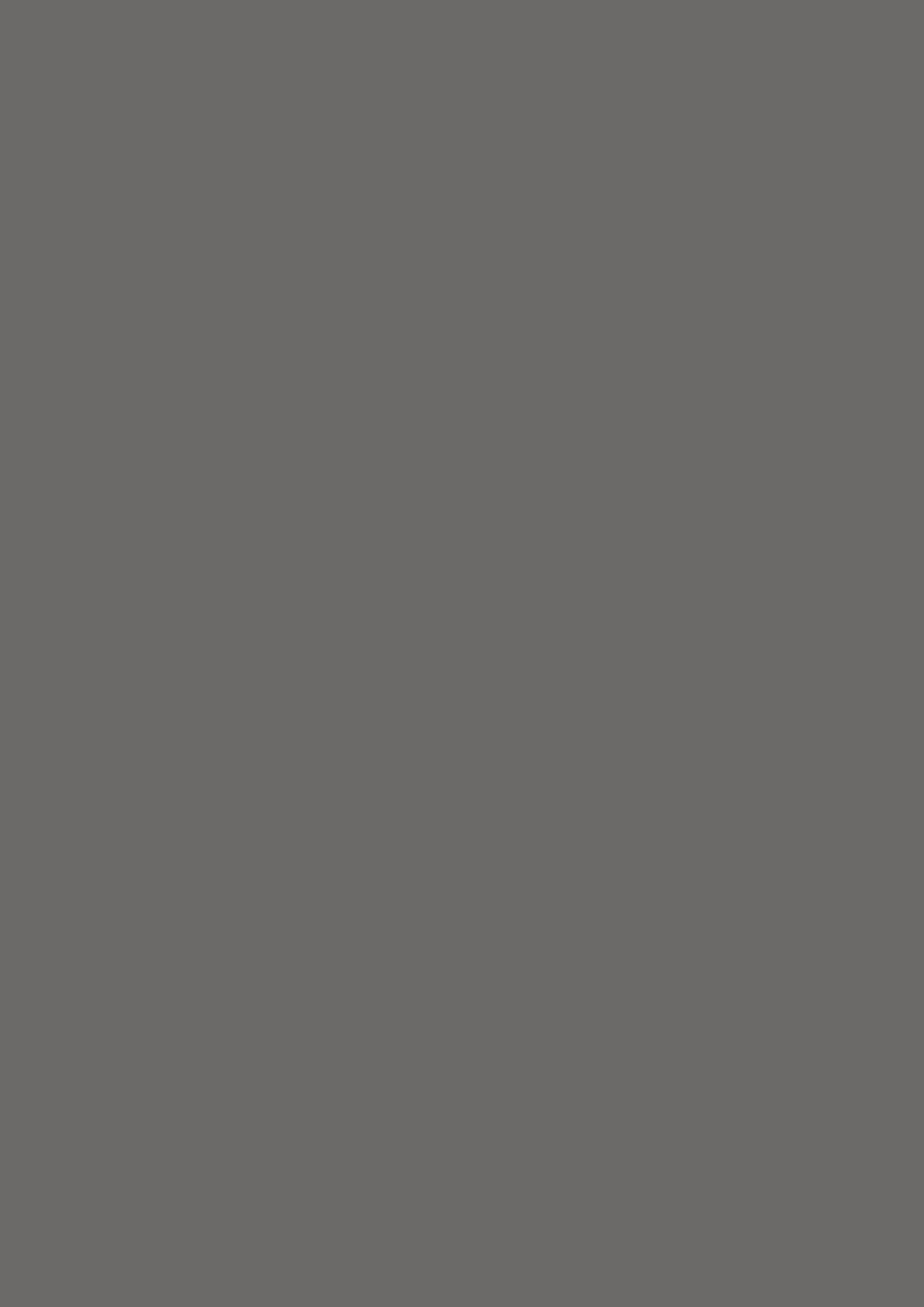 su960_gris_onix_st9.jpg