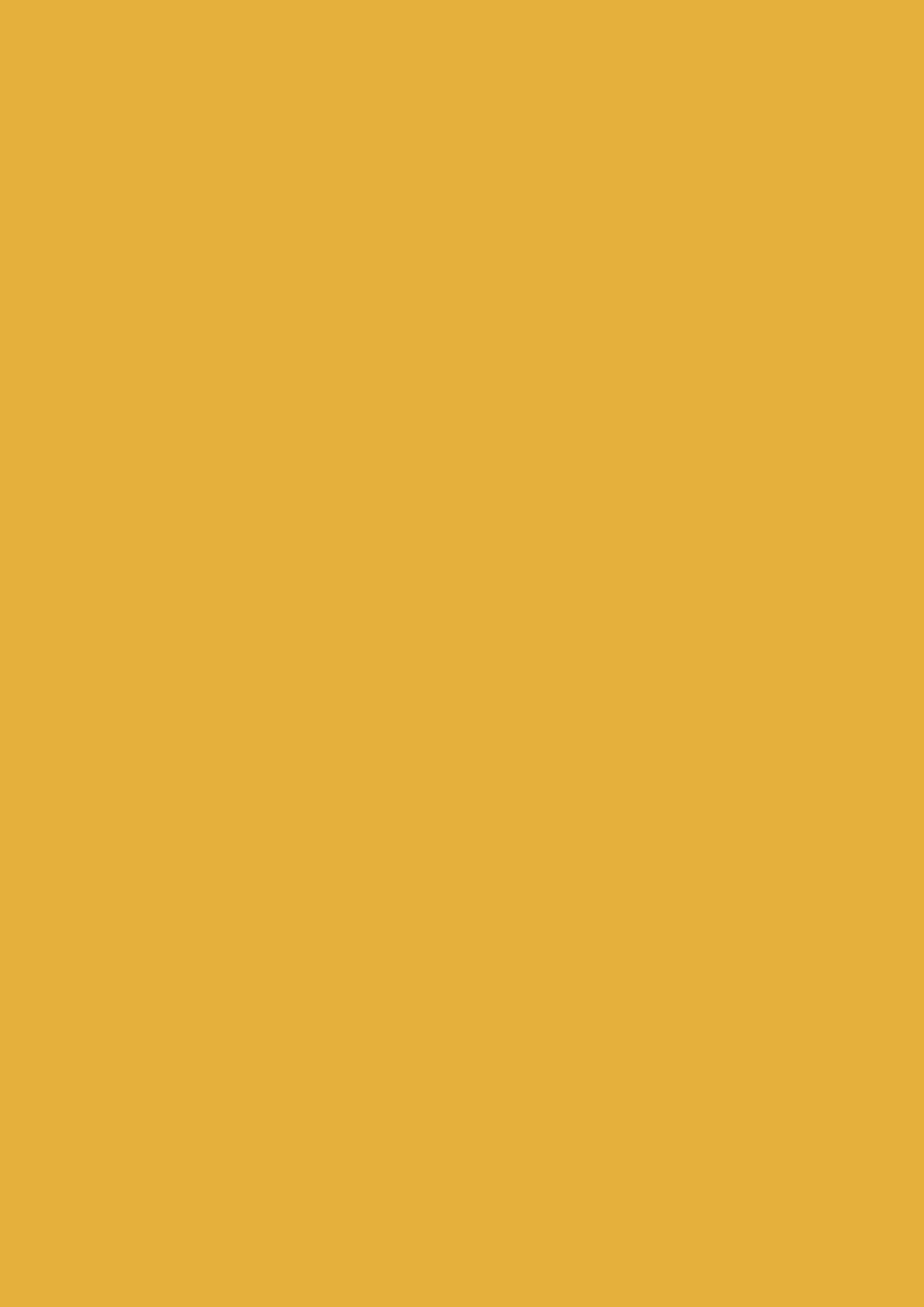 u163_amarillo_curry_st9.jpg