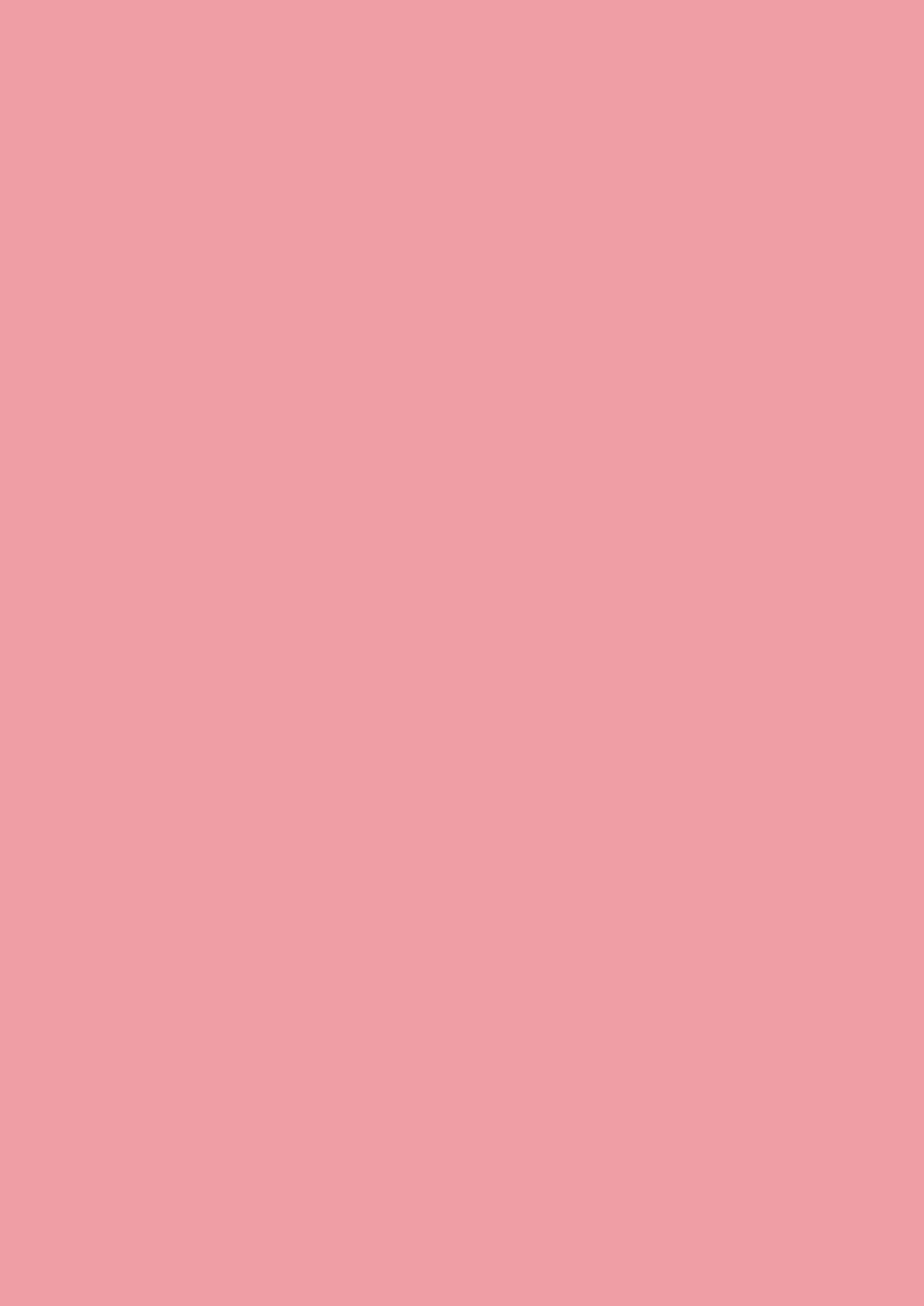 u363_rosa_flamingo_st9.jpg