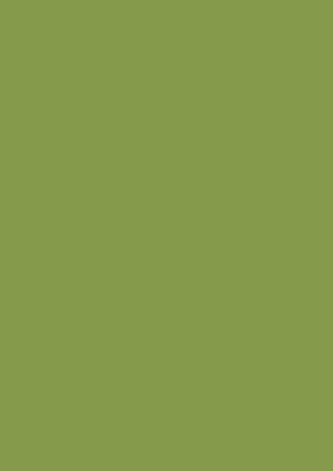u626_verde_kiwi_st9.jpg