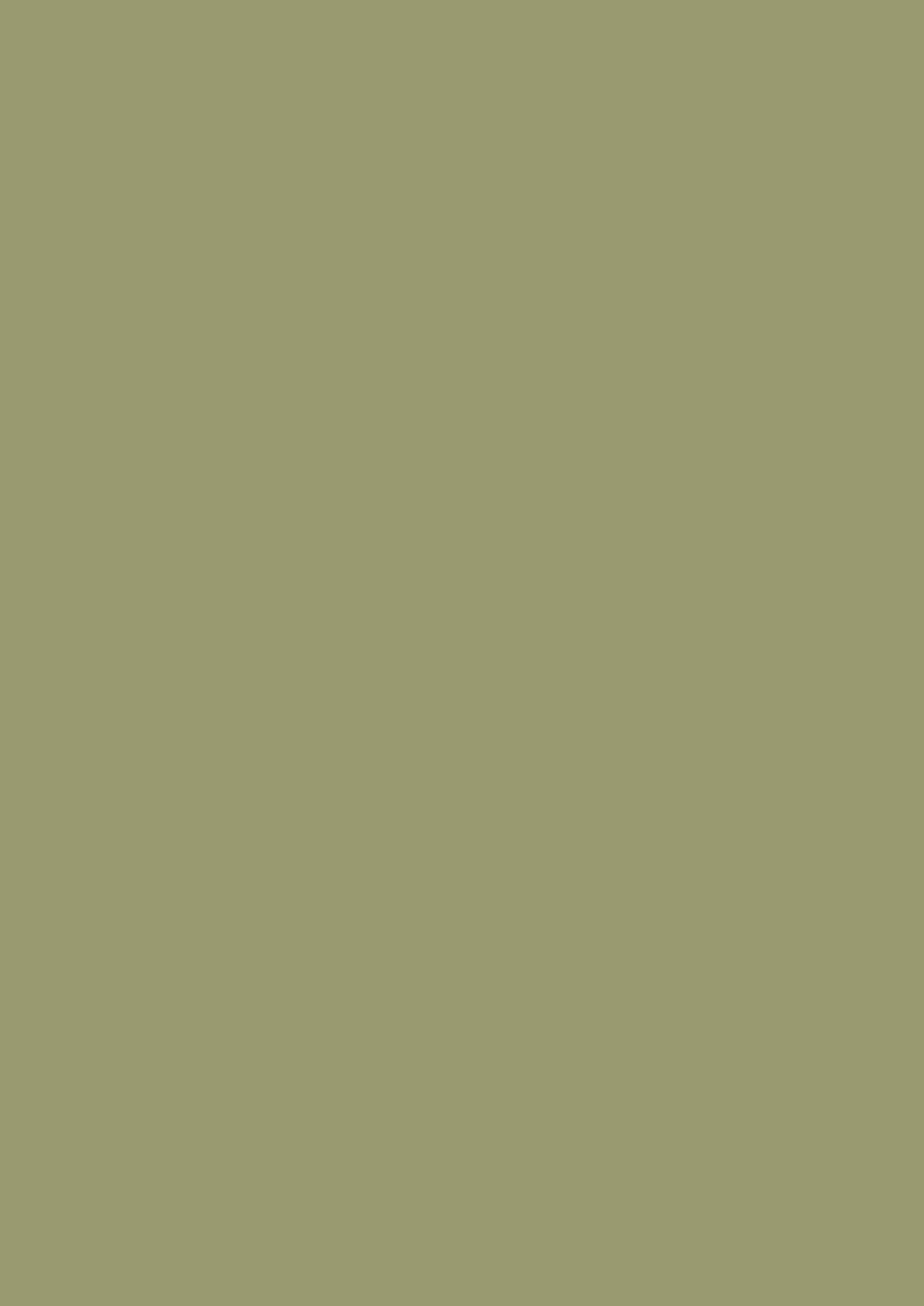 u640_verde_oliva_st9.jpg