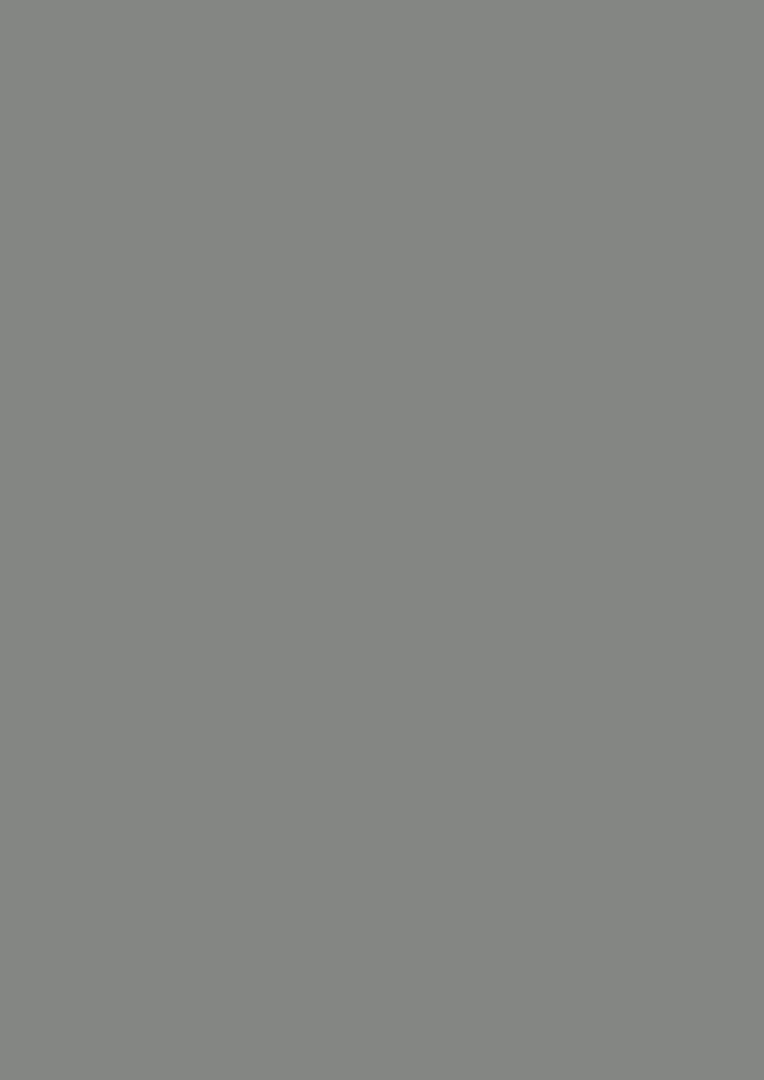 u732_gris_macadan_st9.jpg