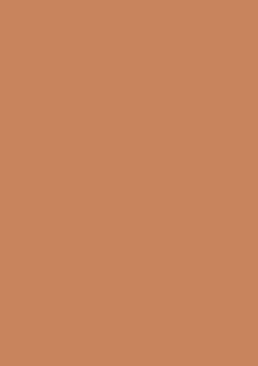 u830_nude_terracota_st9.jpg
