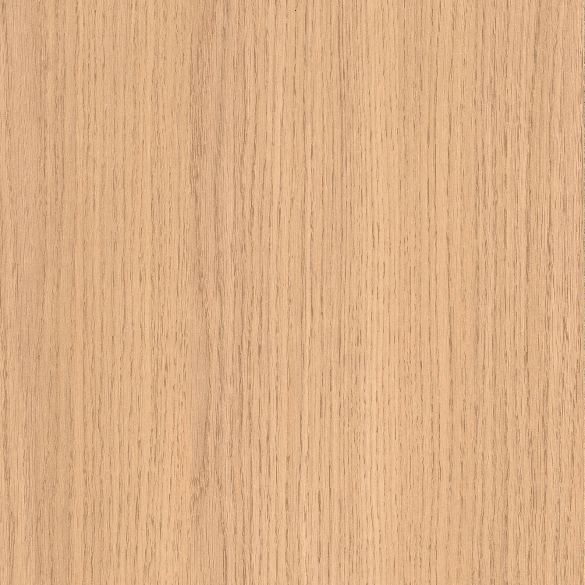 roble_vicenza_blanqueado.jpg